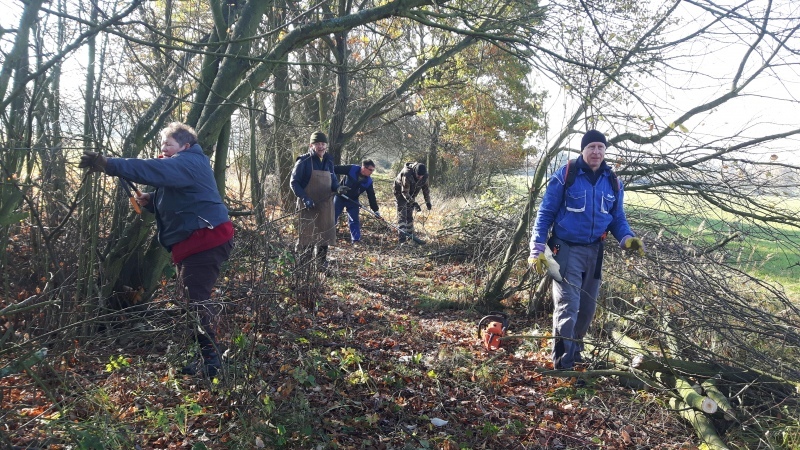 kos_211030_kastanka_9