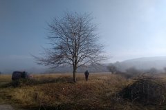 kos_211030_kastanka_4