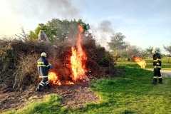 osv_20250430_caro_maple_12