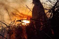 osv_20250430_caro_pacu_6