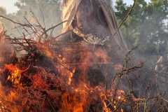 osv_20250430_caro_pacu_7