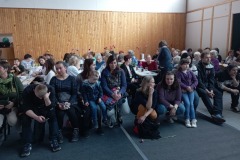 kos_20230325_doz_maple_1