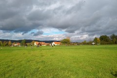 kos_20221022_drakiada_jok_4