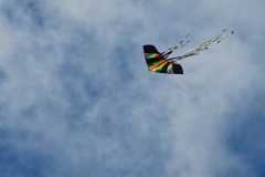 kos_20221022_drakiada_miho_2