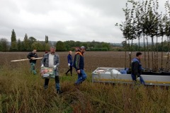 osv_20241005_lipuvka_maple_8