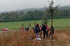 osv_20241005_lipuvka_maple_9