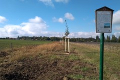 osv_20241006_lipuvka_jok_3