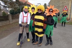 osv_2023_msp_maple_22