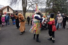 osv_20240203_msp_maple_17