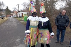 osv_20240203_msp_maple_4