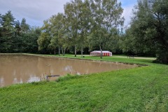 kos_20220917_beh_maple_1