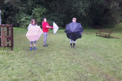 kos_20220917_beh_maple_10