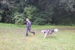 kos_20220917_beh_maple_41