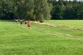 3-osv_20250913_beh_arch_15 3-osv_20250913_beh_arch_15