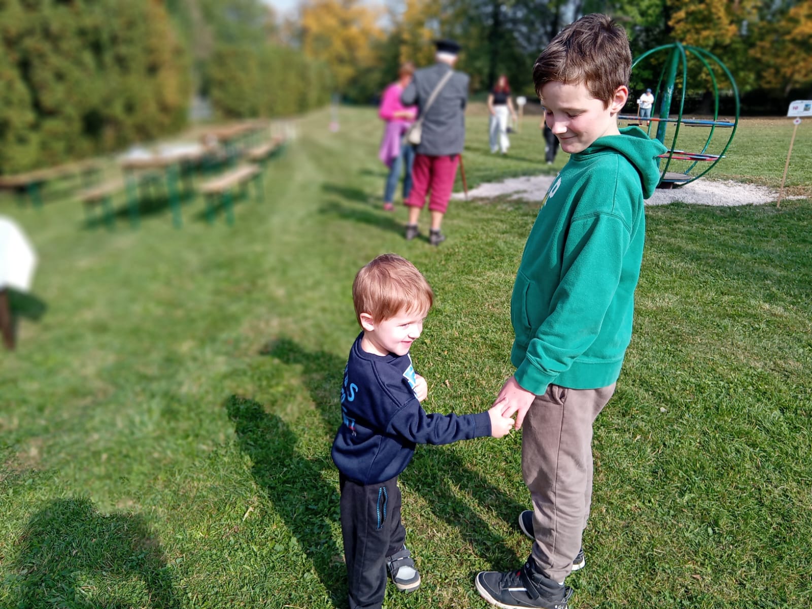 osv_20261004_detden_maple_12