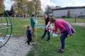 osv_20261004_detden_maple_18