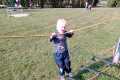 osv_20261004_detden_maple_25