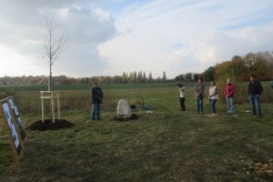 Sázení památné lípy